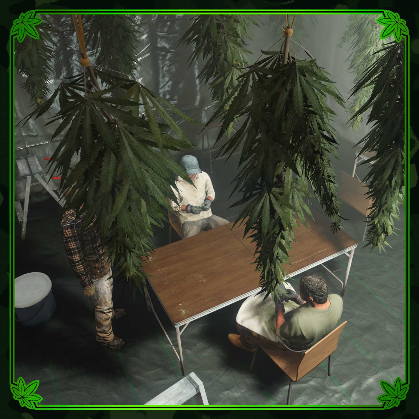 大麻植物悬挂在三个角色围着桌子的天花板上。