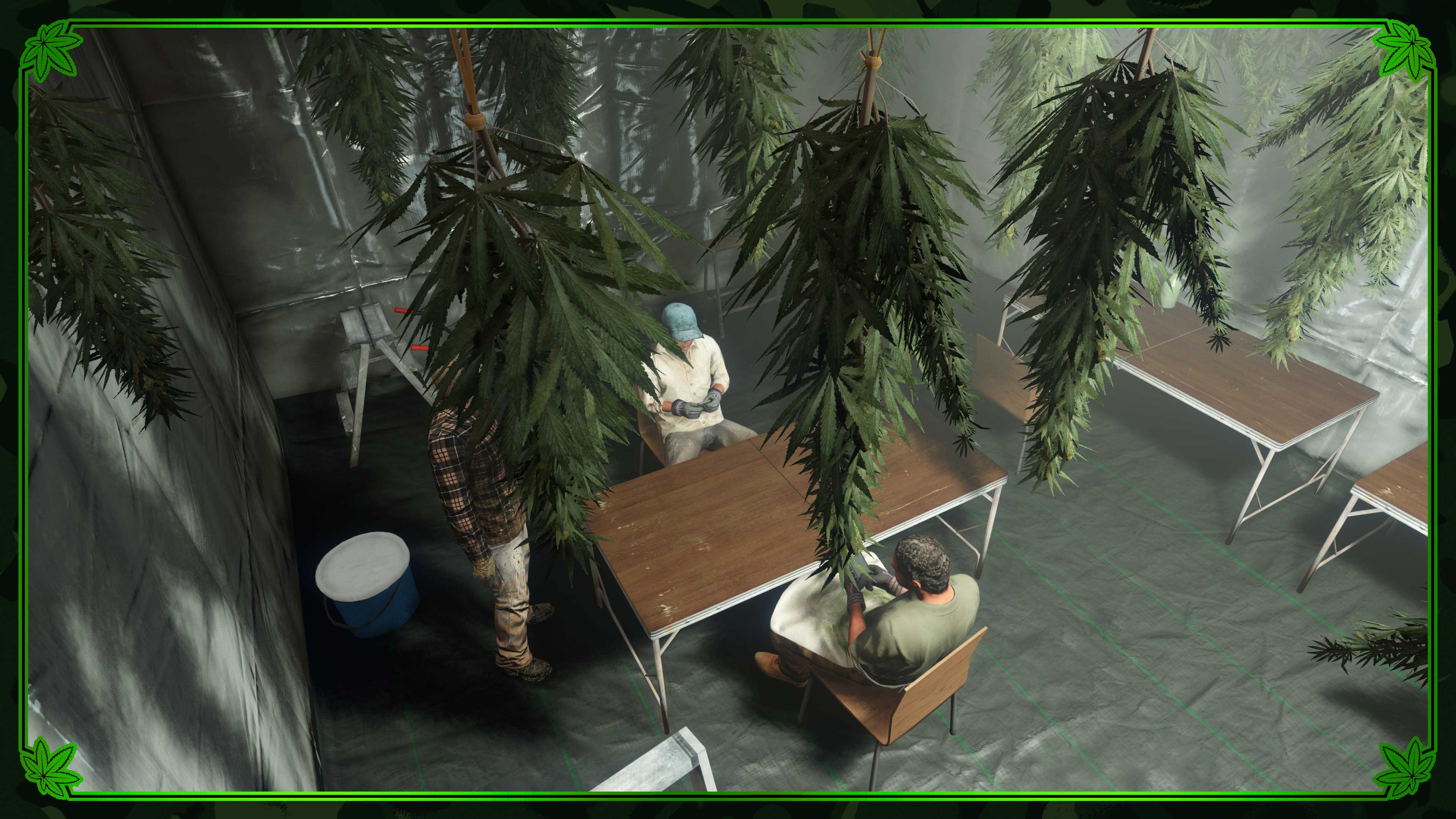 大麻植物悬挂在三个角色围着桌子的天花板上。