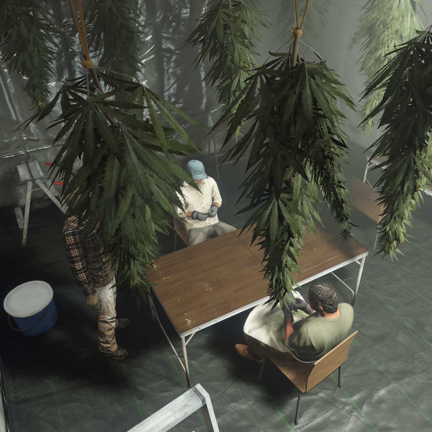 三个角色围着桌子，天花板上悬挂着大麻植物。