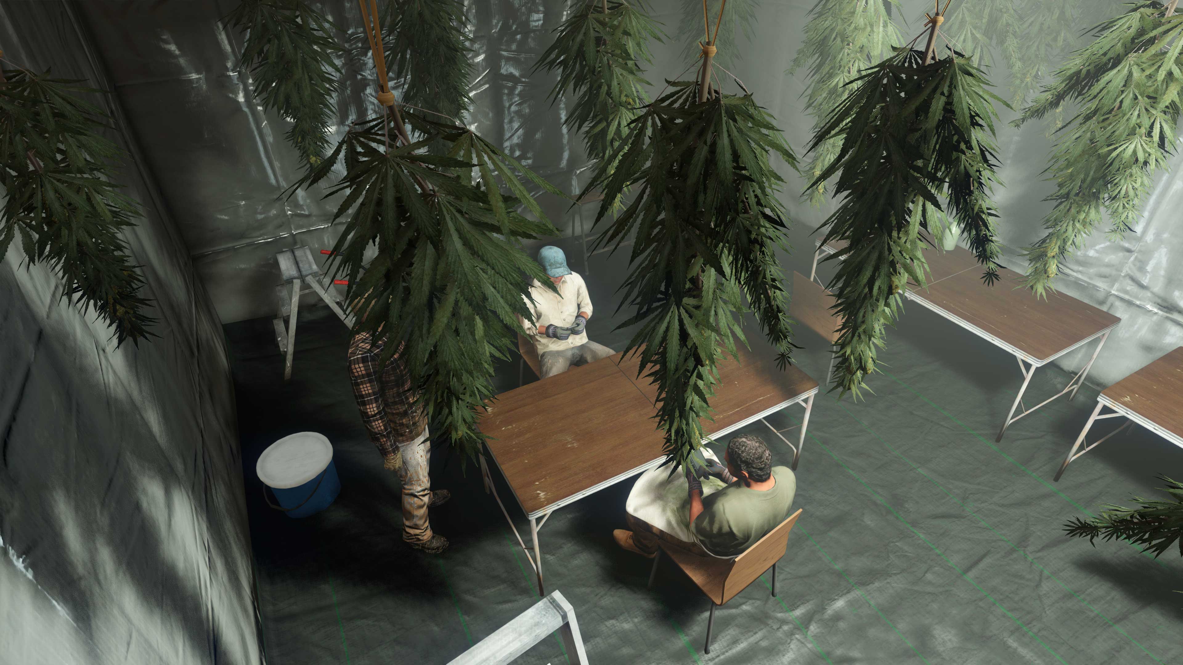 大麻种植场制造厂的图片