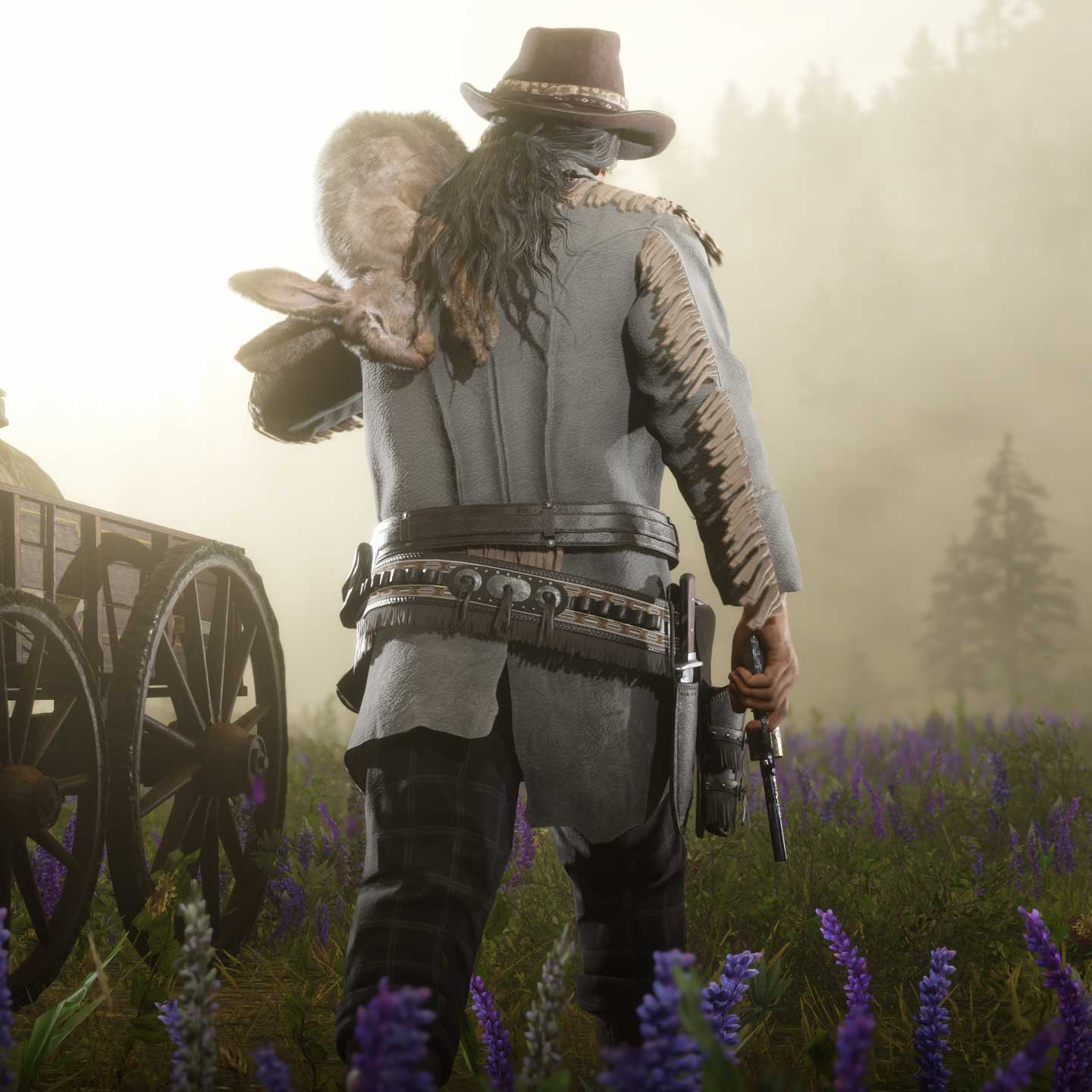 Red Dead 在线模式的图片