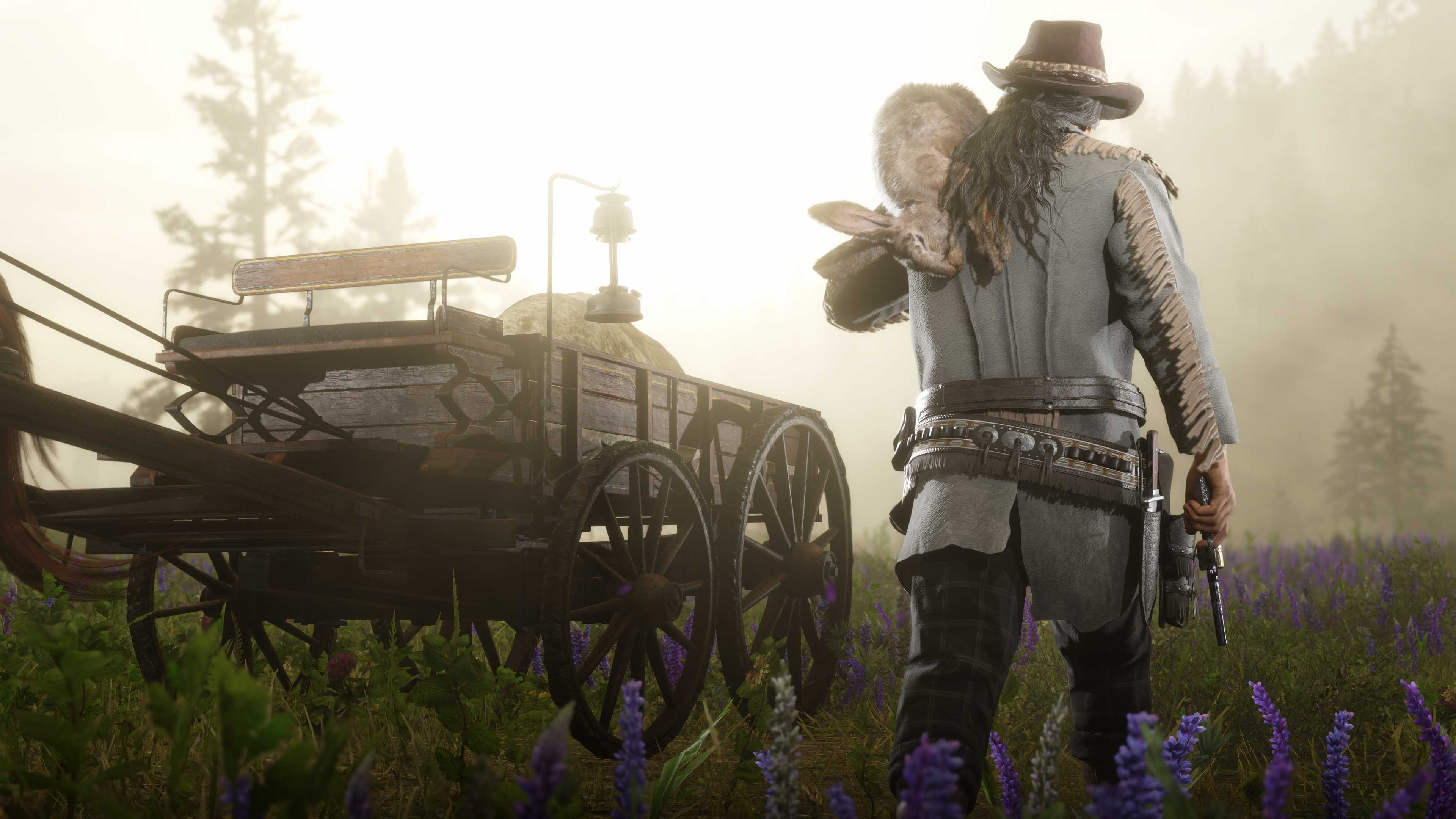Red Dead 在线模式的图片