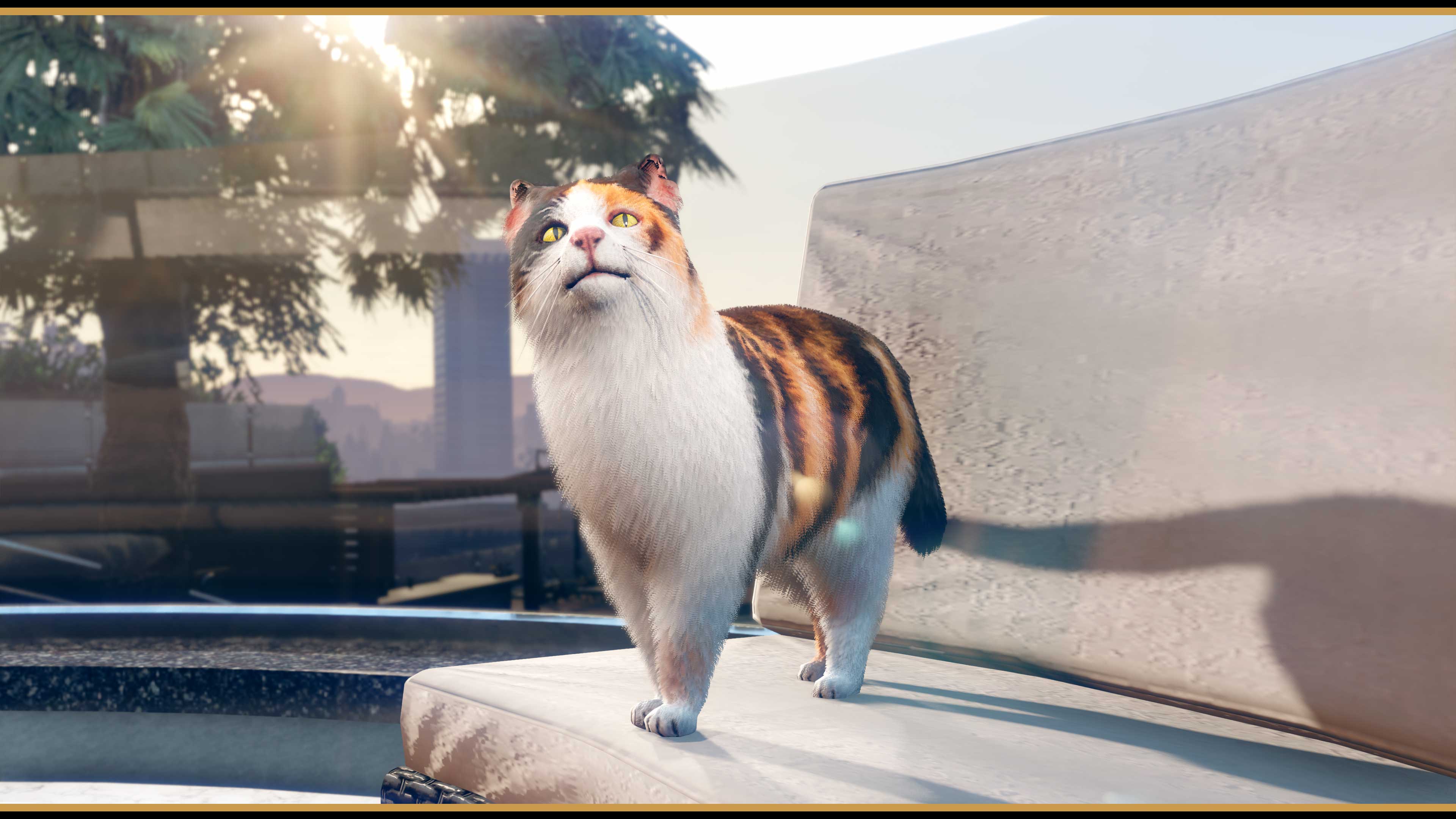 一只黄色眼睛的斑点花猫站在沙发椅上。