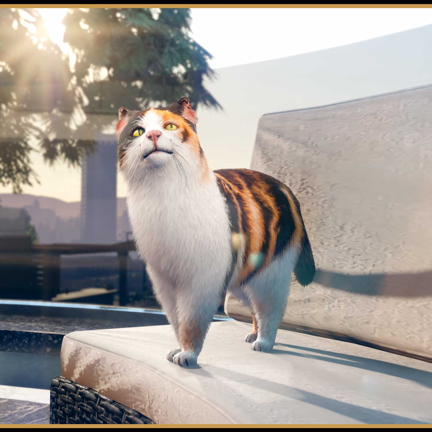 一只黄色眼睛的斑点花猫站在沙发椅上。